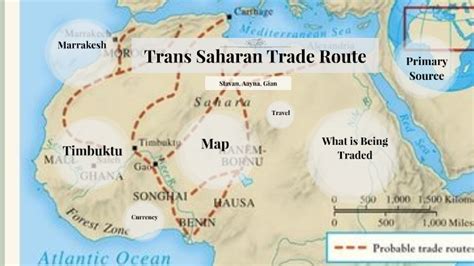  The Great Kano Market Boom: 14th-Century Trade Routes and Urban Growth Across the Trans-Saharan Desert